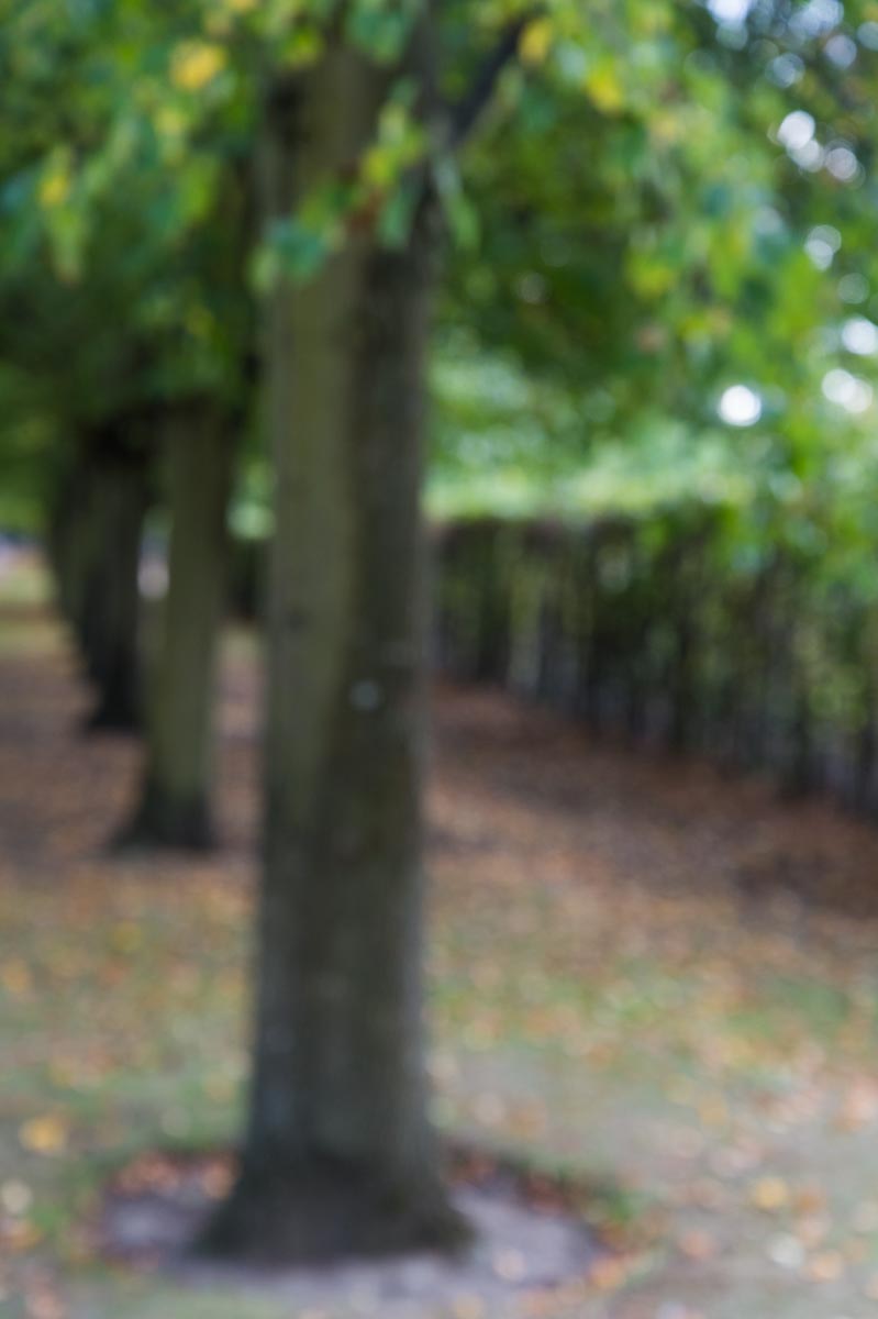 161015_Westminster_RegentsPark_-4