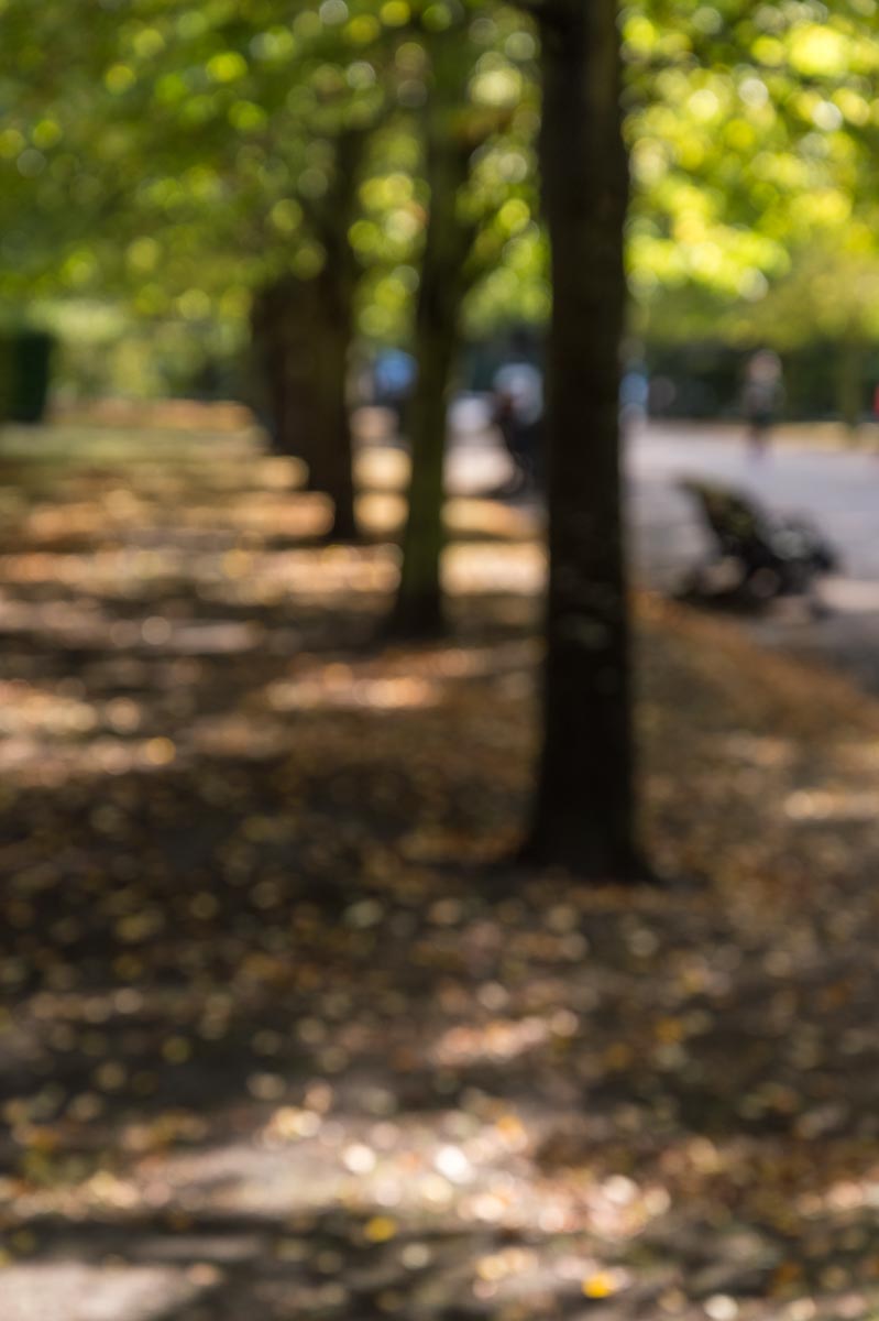 161015_Westminster_RegentsPark_-5