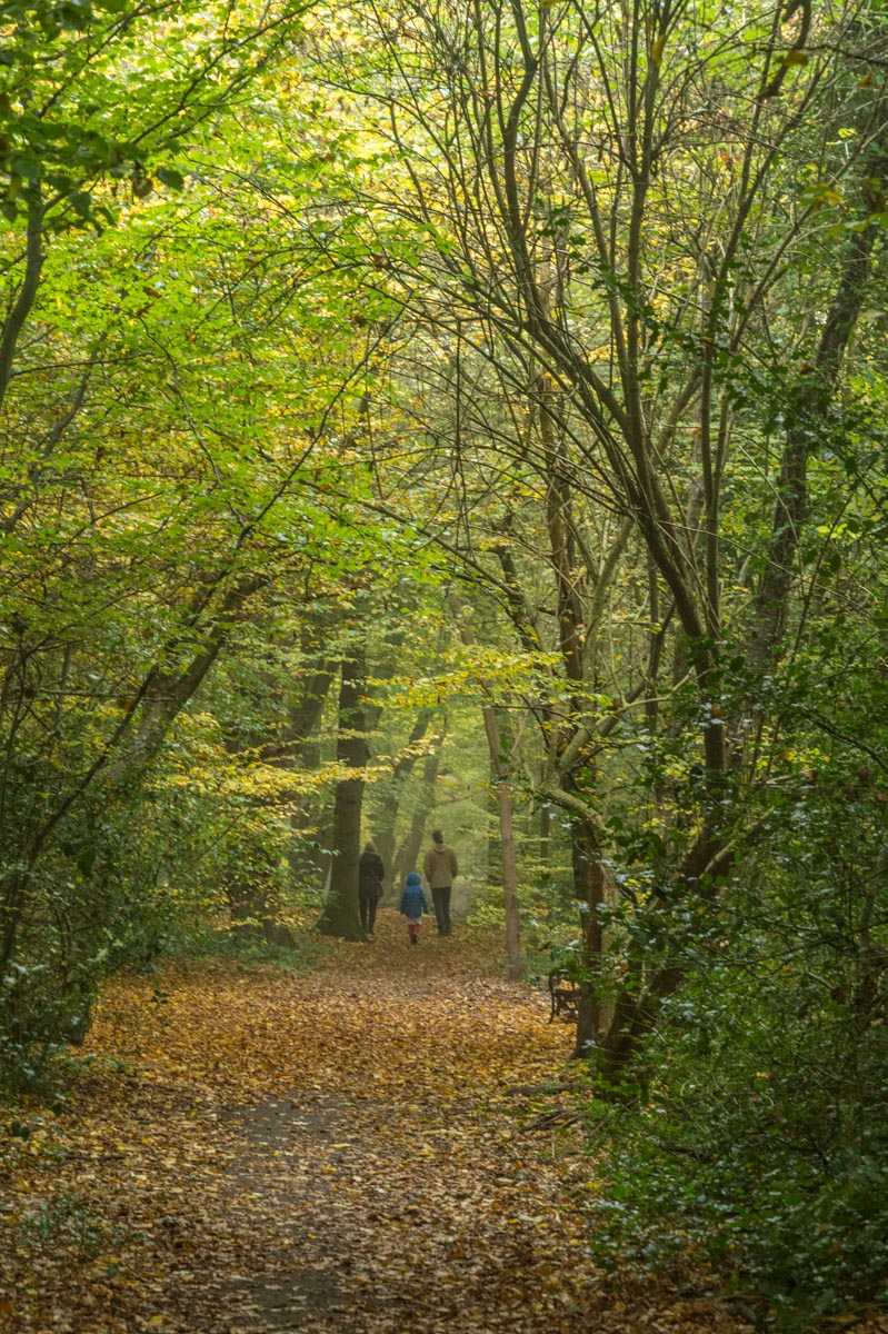 161030_Haringey_QueensWood_-5