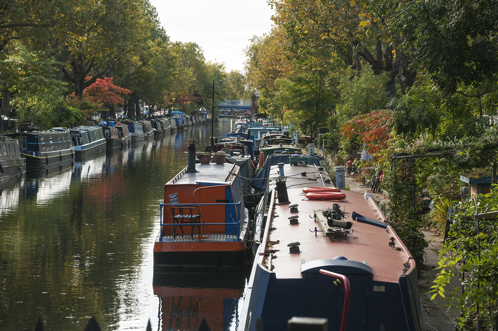 2016-010-18-Camden_Regents-Canal_Autumn_Landscape