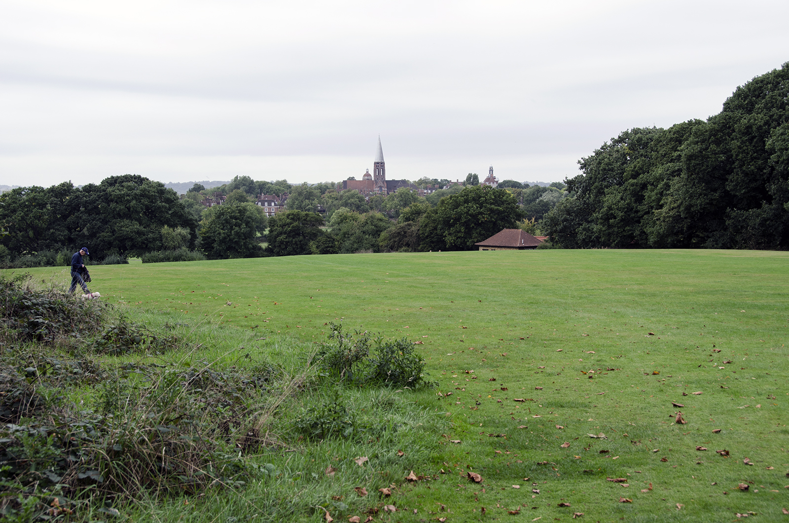 2016-09-28-BArnet_Hampstead-Heath-Exensions_-Autumn_Landscape-The-way-we-came