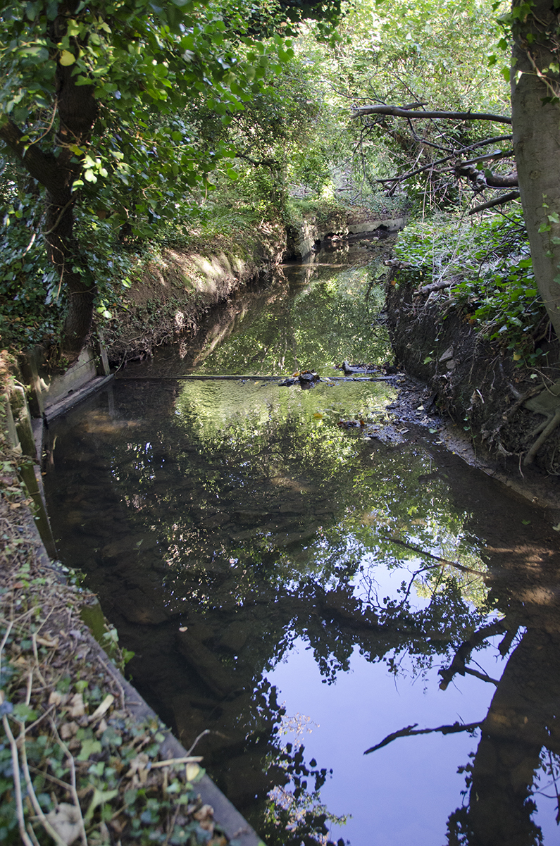 2016-09-28-Barnet_Dollis-Valley-Green-Walk_Autumn_Landscape-Dollis-Brook