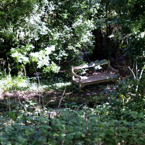 2016-09-28-Barnet_Dollis-Valley-Green-Walk_Autumn_Landscape-Not-sure-how-to-get-to-this-bench