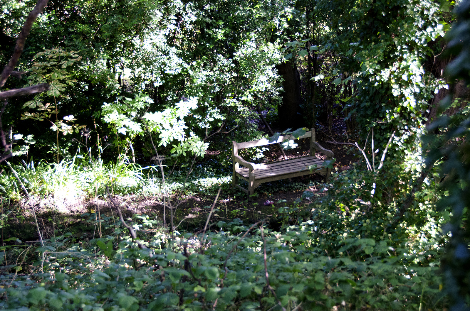 2016-09-28-Barnet_Dollis-Valley-Green-Walk_Autumn_Landscape-Not-sure-how-to-get-to-this-bench