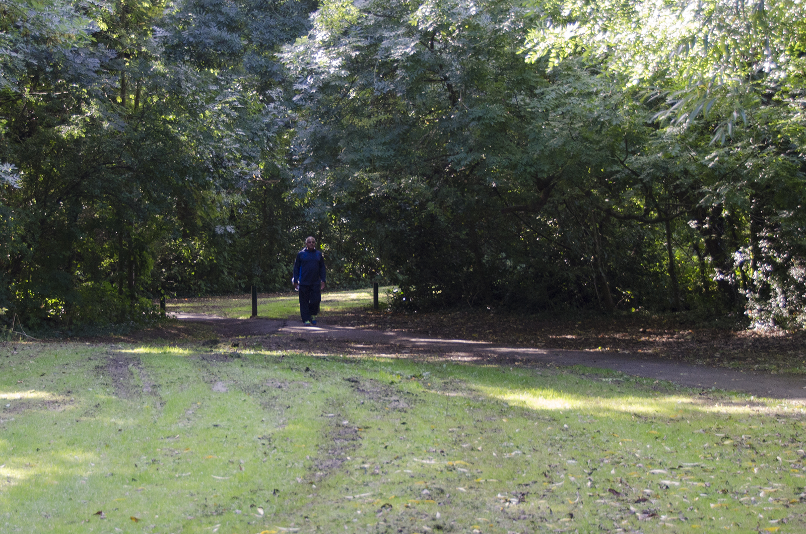 2016-09-28-Barnet_Dollis-Valley-Green-Walk_Autumn_Landscape-Whetstone-Stray