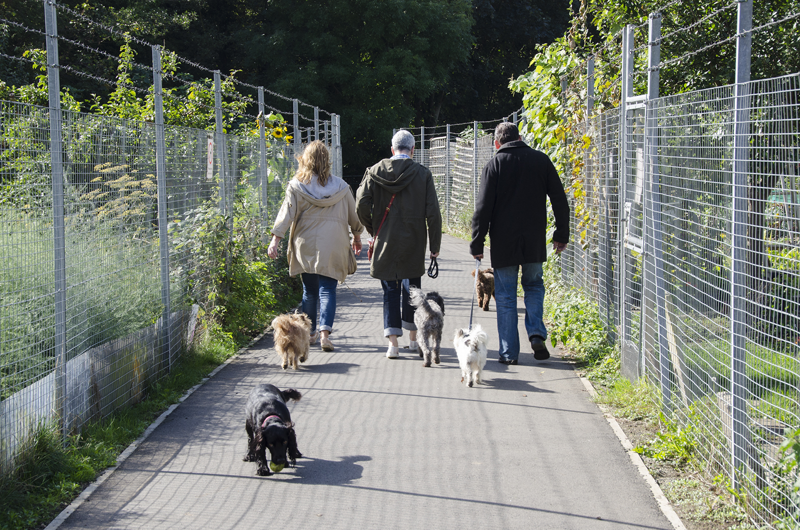 2016-09-28-Barnet_Dollis-Valley-Green-Walk_Autumn_People-Fursby-Avenue-Allotments