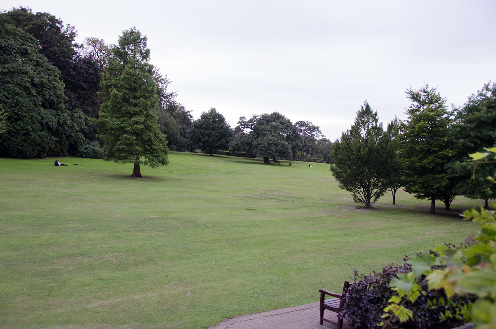 2016-09-28-Barnet_Golders-Hil-Park_Autumn_Landscape