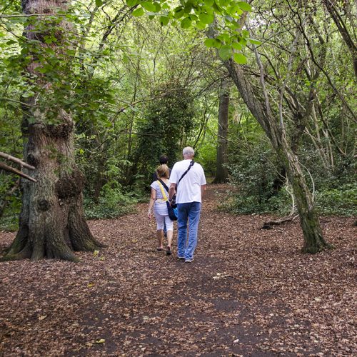 2016-09-28-Barnet_Littlewood-Nature-Reserve_Autumn_People-Photographers-in-the-woods