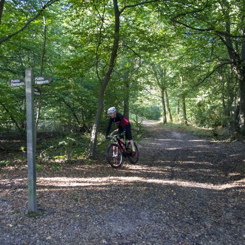 2016-10-03-Hillingdon_Hillingdon-Trail_Autumn_People-Lone-Cyclist