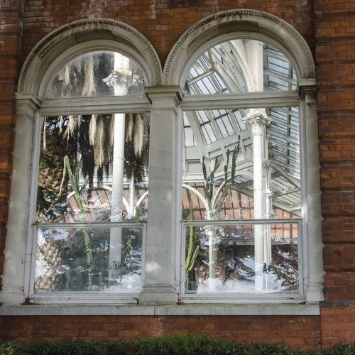 2016-10-05-Greenwich_Wintergarden_Architecture_Autumn-Outside-looking-in