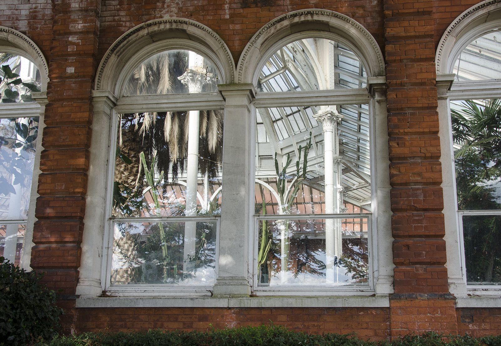 2016-10-05-Greenwich_Wintergarden_Architecture_Autumn-Outside-looking-in