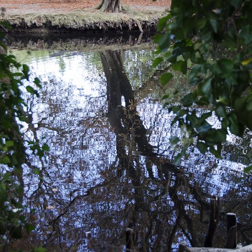 2016-10-11-Southwark_Belair-Park_Autumn_Landscape-reflections-in-the-lake