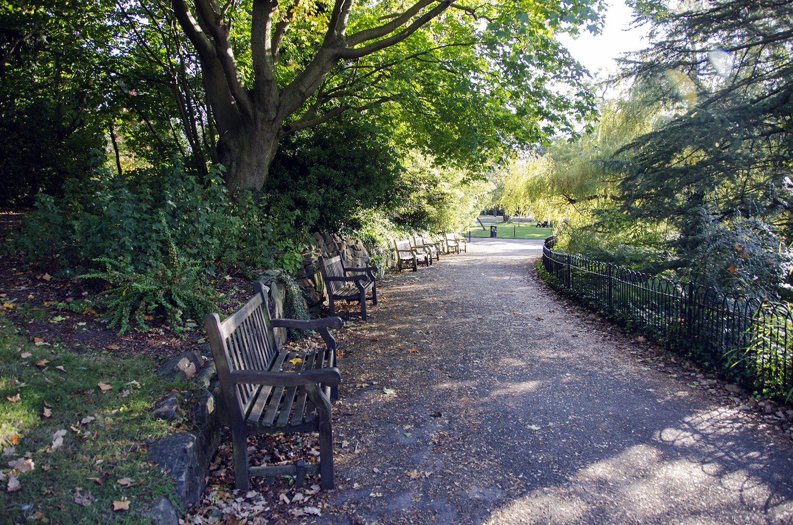 2016-10-11-Southwark_Dulwich-Park_Landscape_Autumn2