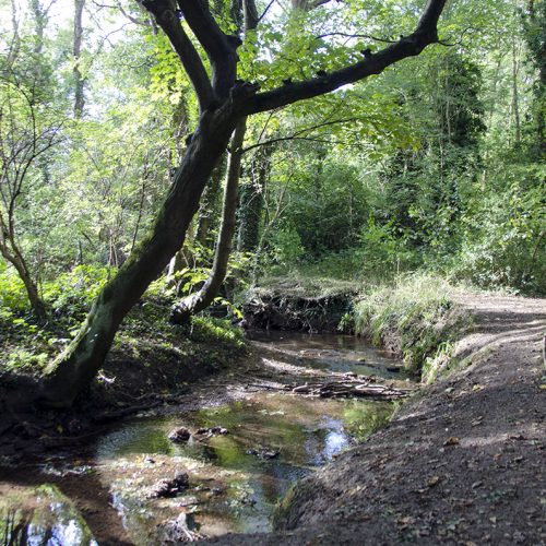 2016-10-13-Harrrow_Autumn_Landscape_River-Pinn-Walk-A-River-Nay-A-Trickle