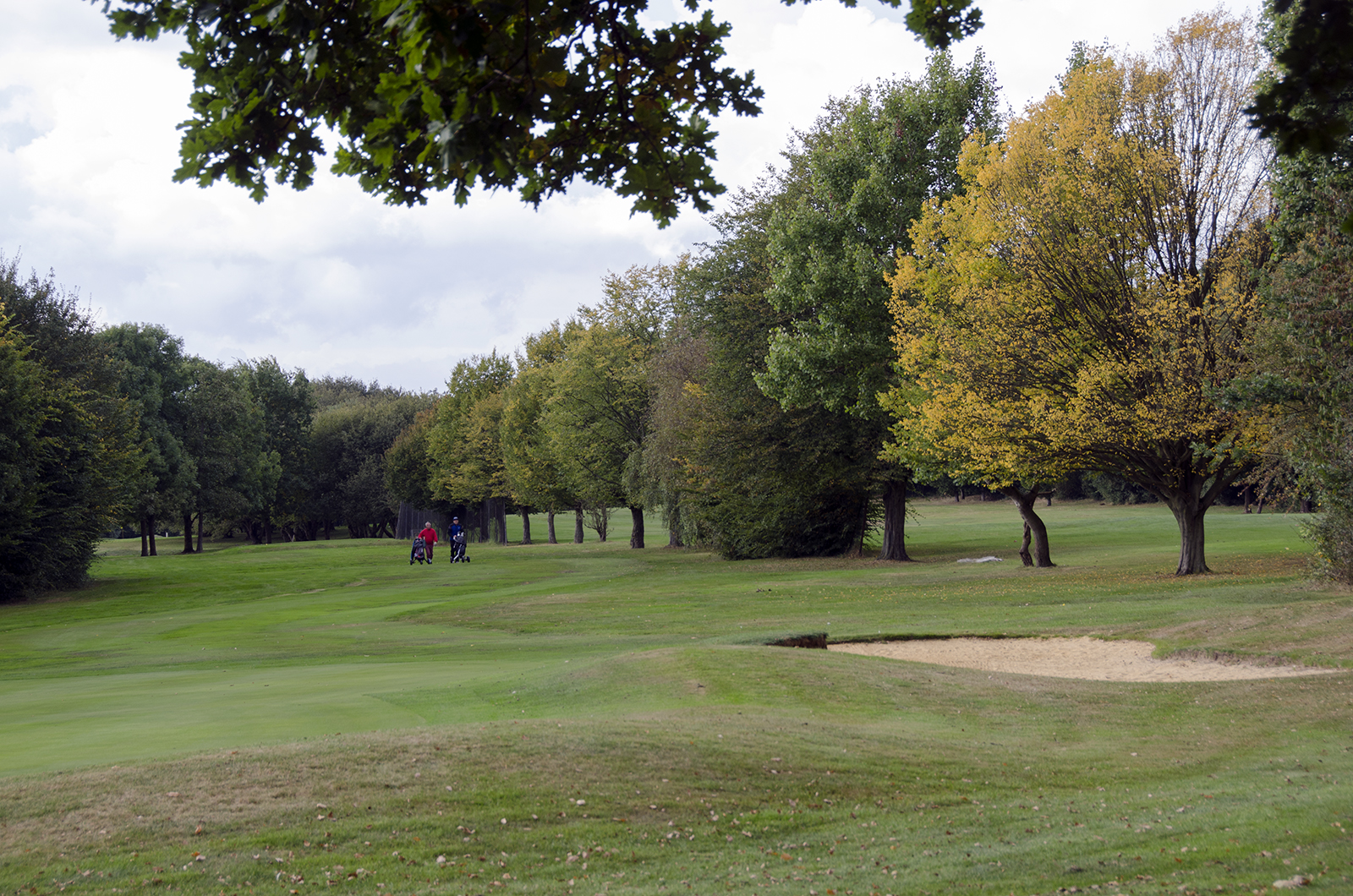 2016-10-13-Hillingdon_Autumn_Landscape_Golf-Course