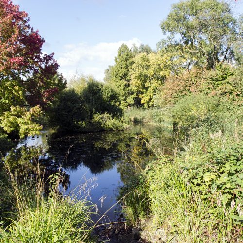 2016-10-13-Lambeth_Brockwell-Park_Autumn_Landscape-Ponds-showing-autumn-colour