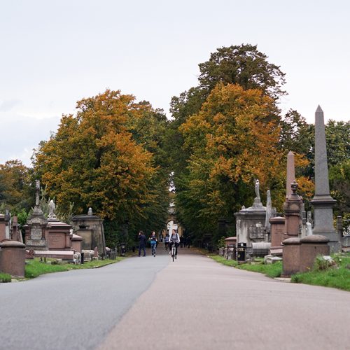 2016-10-15-Brompton-Cemetery_Landscape_Autumn_Kensington-and-Chelsea-View-towards-Fulham-Road