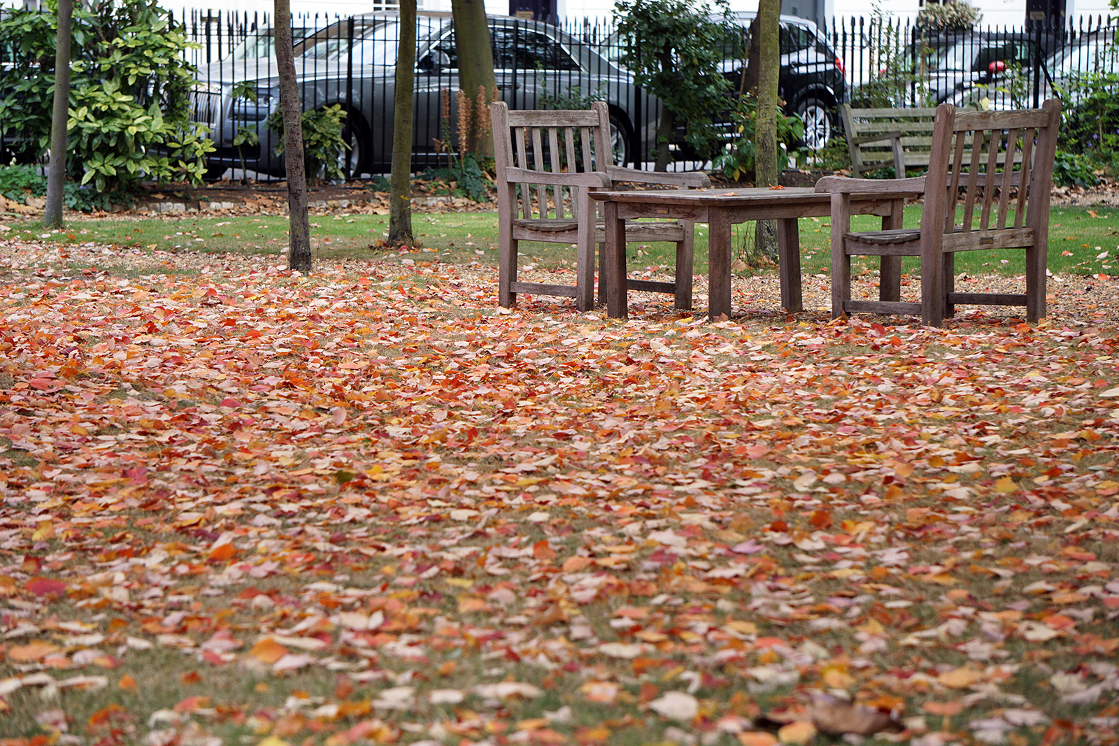 2016-10-15-Kensington-and-Chelsea_City-Square_Autumn_Detail-Paultons-square-Waiting-for-Spring-again