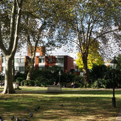 2016-10-15-Kensington-and-Chelsea_City-Square_Autumn_Landscape-Dovehouse-Green