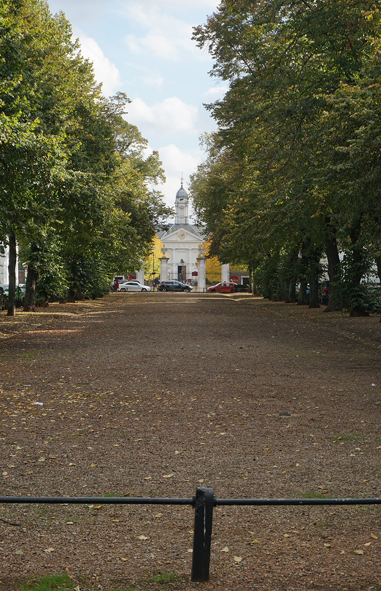 2016-10-15-Kensington-and-Chelsea_Landscape_City-Square_Autumn-Royal-Avenue-SW3