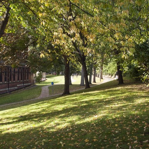 2016-10-18-Westminster_Westbourne-Green_Autumn_Landscape