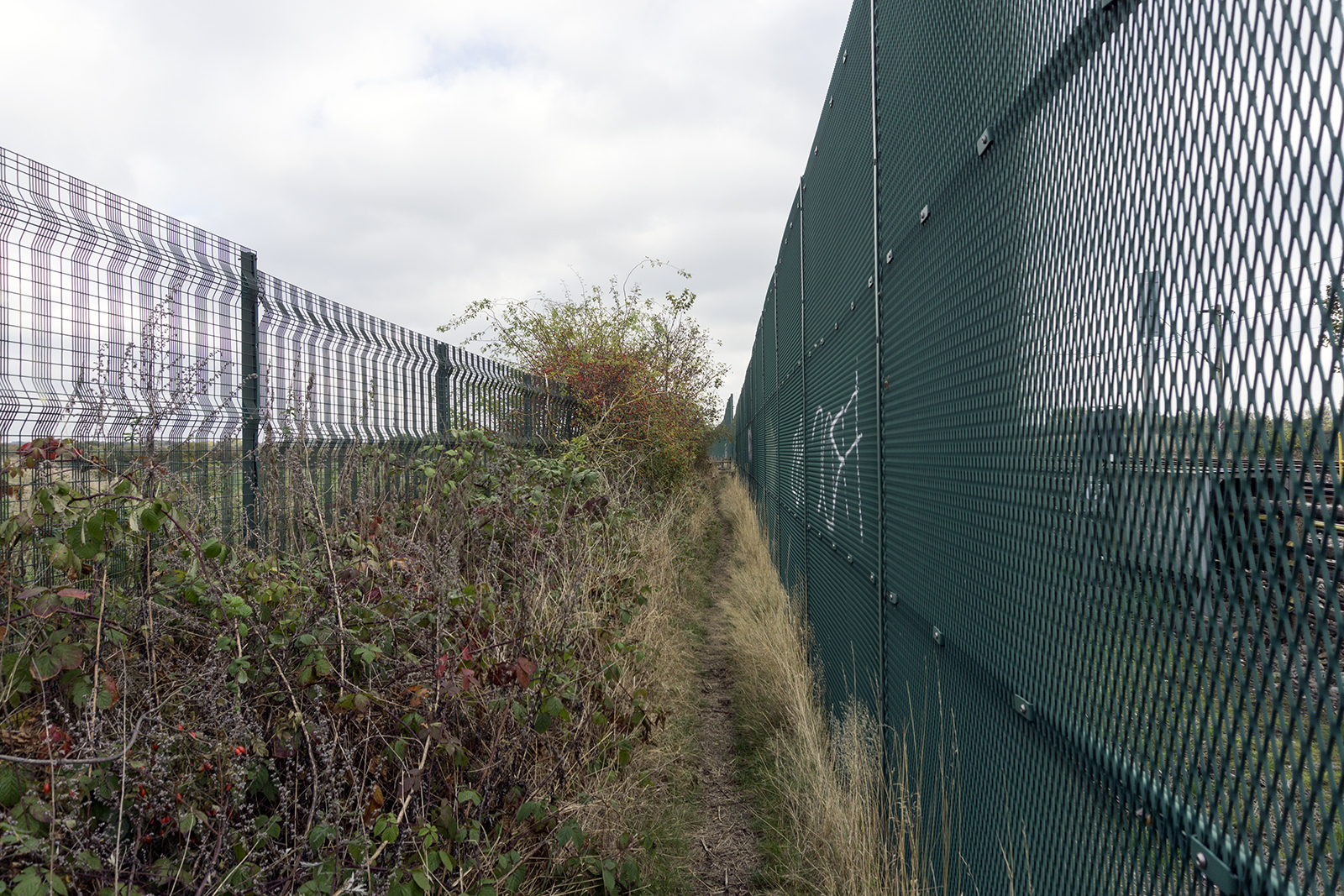 2016-10-26-Barking_Autumn_Beam-Valley_Landscape-Path-to-Eastbrookend