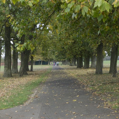 2016-10-26-Barking_Autumn_Eastbrookend-Country-Park_Landscape-Avenue-on-the-Playing-Fields-of-Central-Park