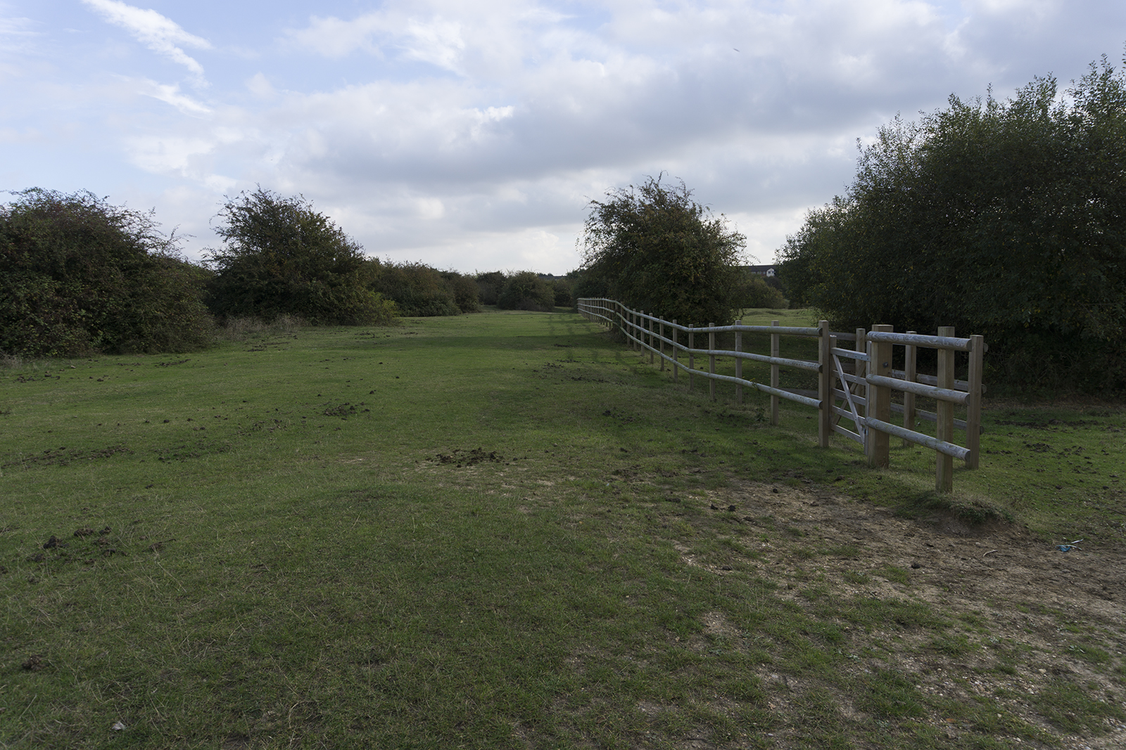 2016-10-26-Barking_Autumn_Eastbrookend-Country-Park_Landscape-Run-out-of-money