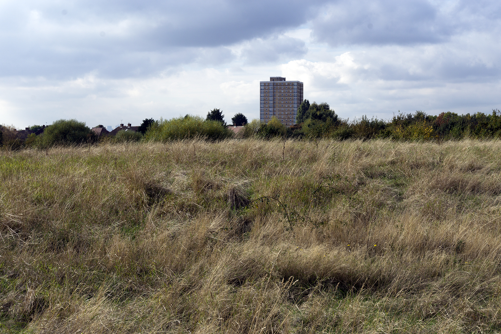 2016-10-26-Barking_Autumn_Eastbrookend-Country-Park_Landscape-Wildlife-Area