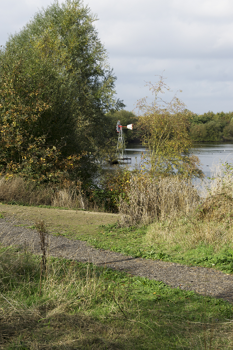 2016-10-26-Barking_Autumn_Eastbrookend-Country-Park_Landscape-Windmill