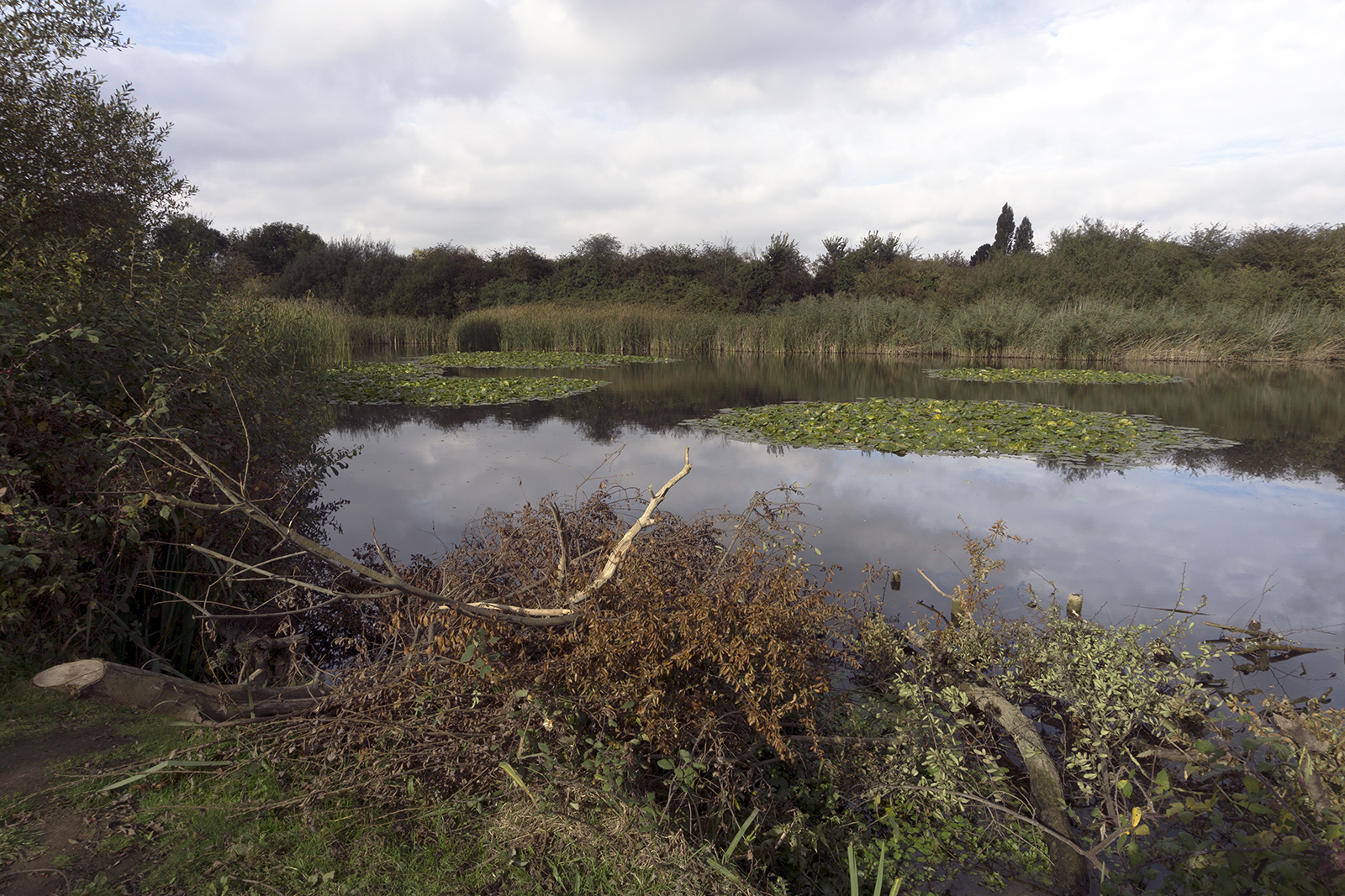 2016-10-26-Barkling_Autumn_Landscape_Hooks-Hall-Pond