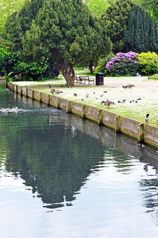 20160517_Enfield_Canal