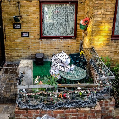 20160908_Camden_Calshot-Street_Tigers-Garden
