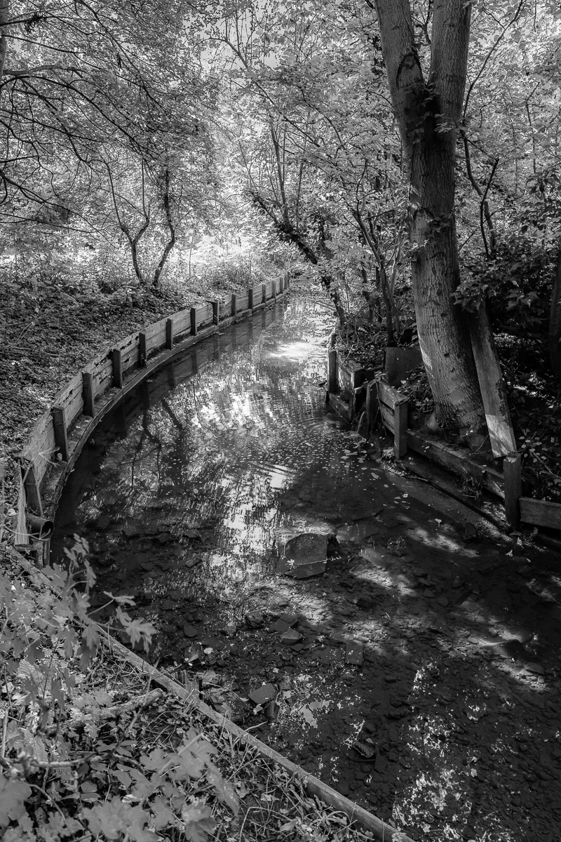 20160928_Barnet_Dollis-Brook_Meander