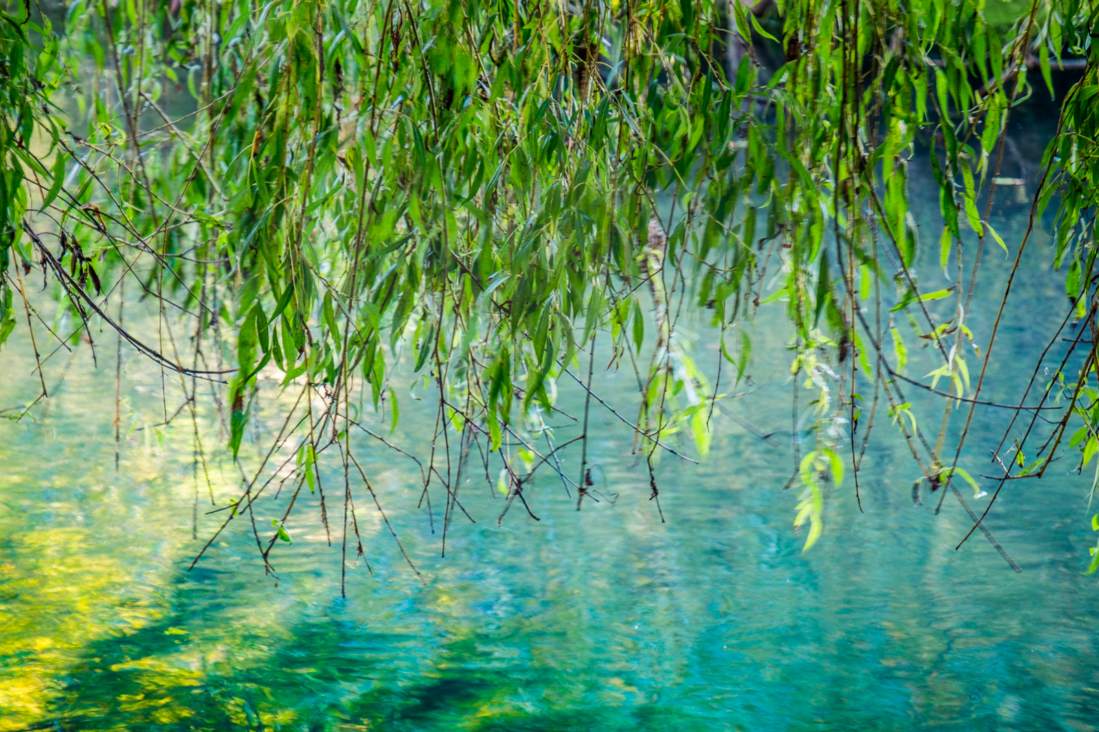 20161005_Greenwich_Tarn-Bird-Sanctuary_Golden-Emerald-Lake