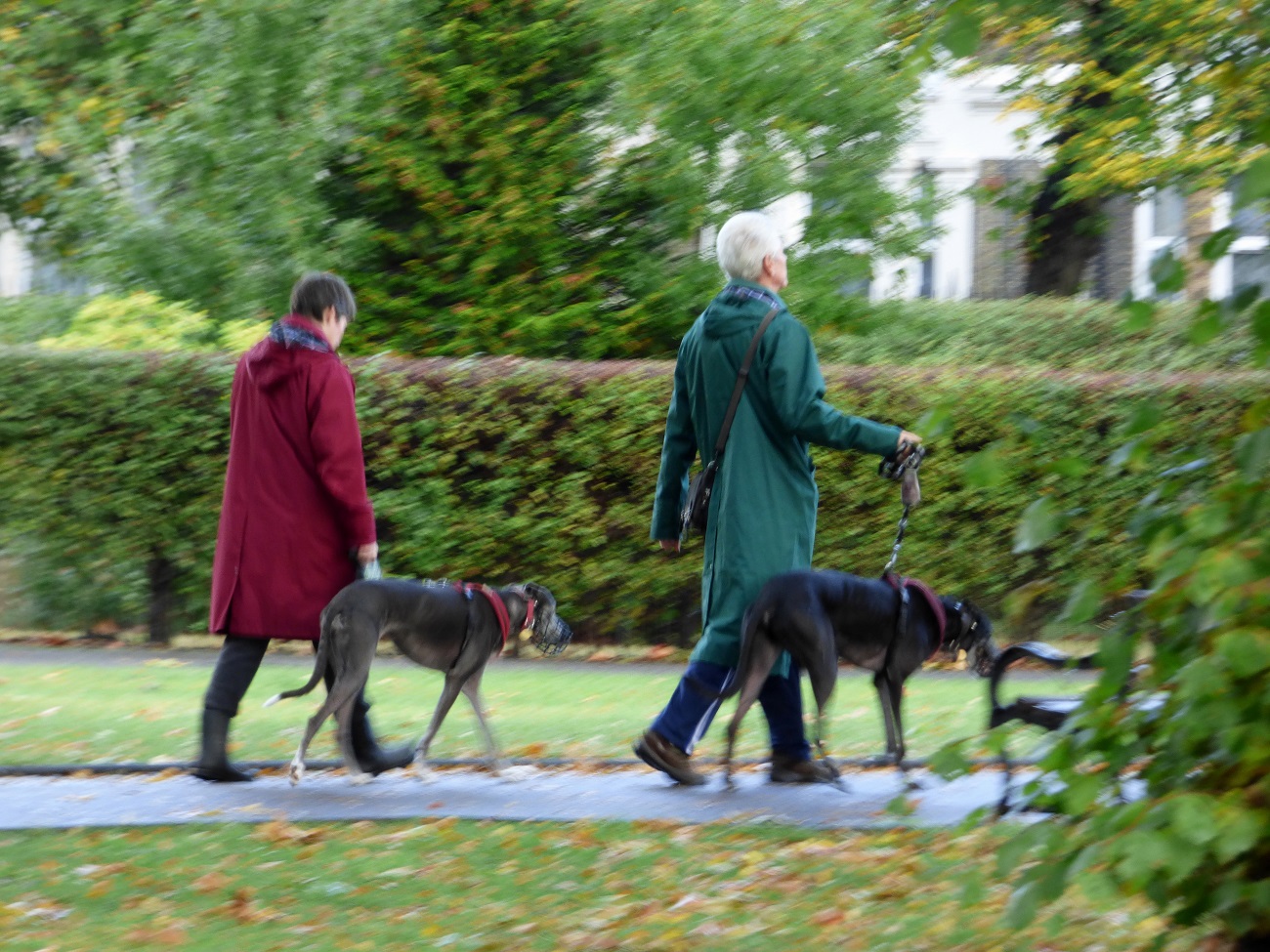 20161016_Newham_West-Ham-Park_Blurred-Walk