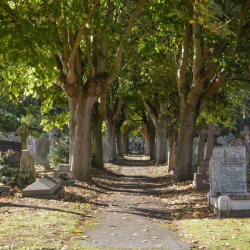 20161017_Haringey_Tottenham-Cemetery-_Alley