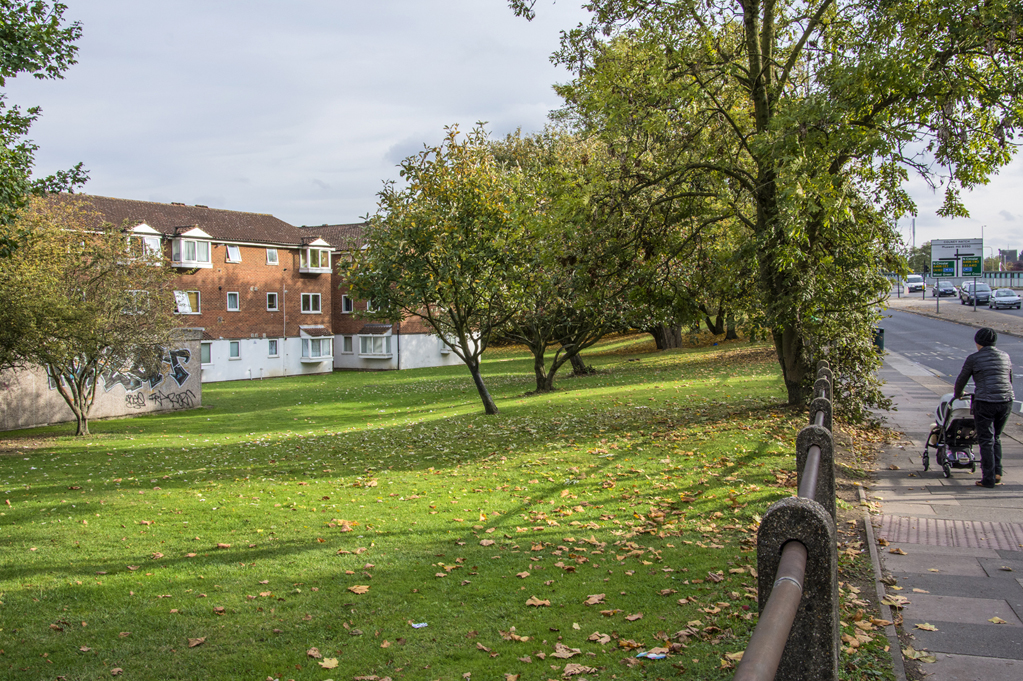 20161027_Barnet_-Colney-Hatch-Lane-_Green-patch-along-a-road