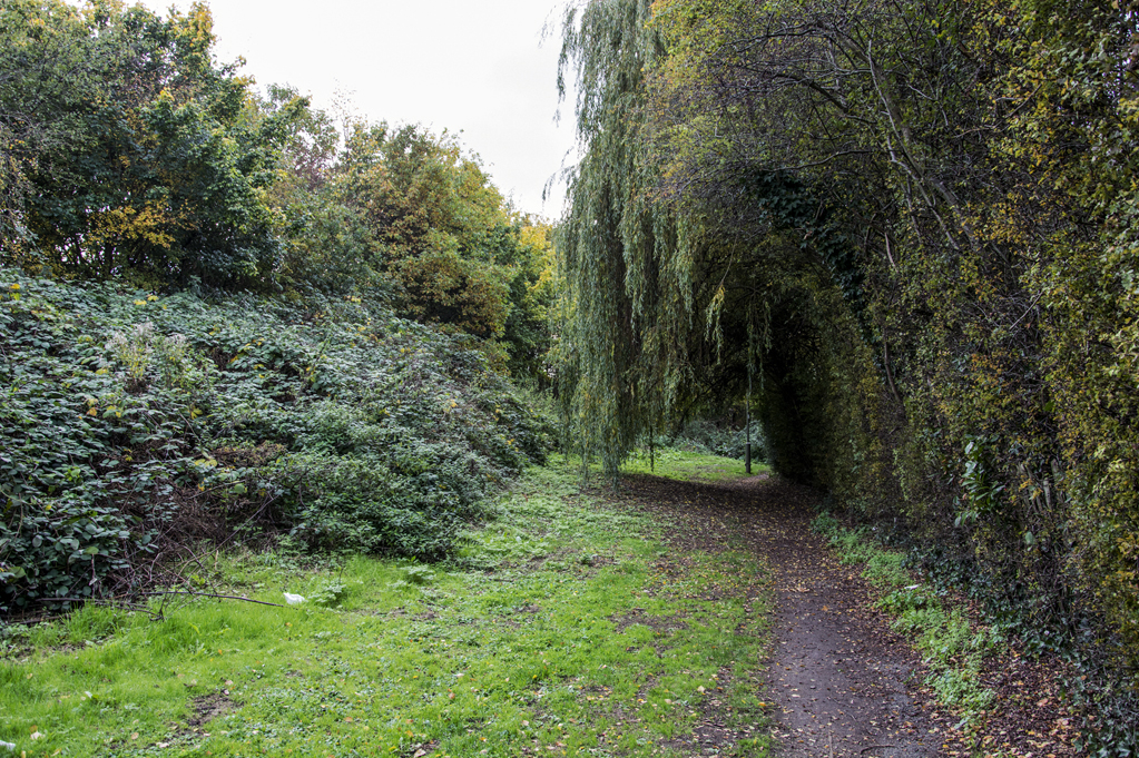 20161027_Barnet_Bounds-Green-Brook_Along-Bounds-Green-Brook