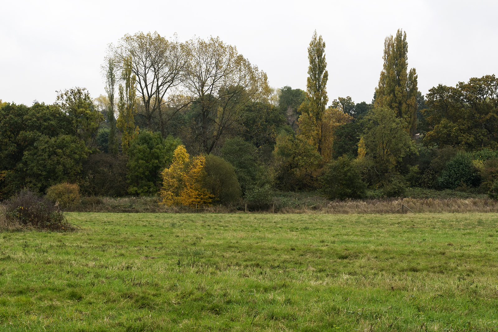 2016-10-29-Barnet-Totteridge-Fields_Landscape_Autumn-Turners-Landscape