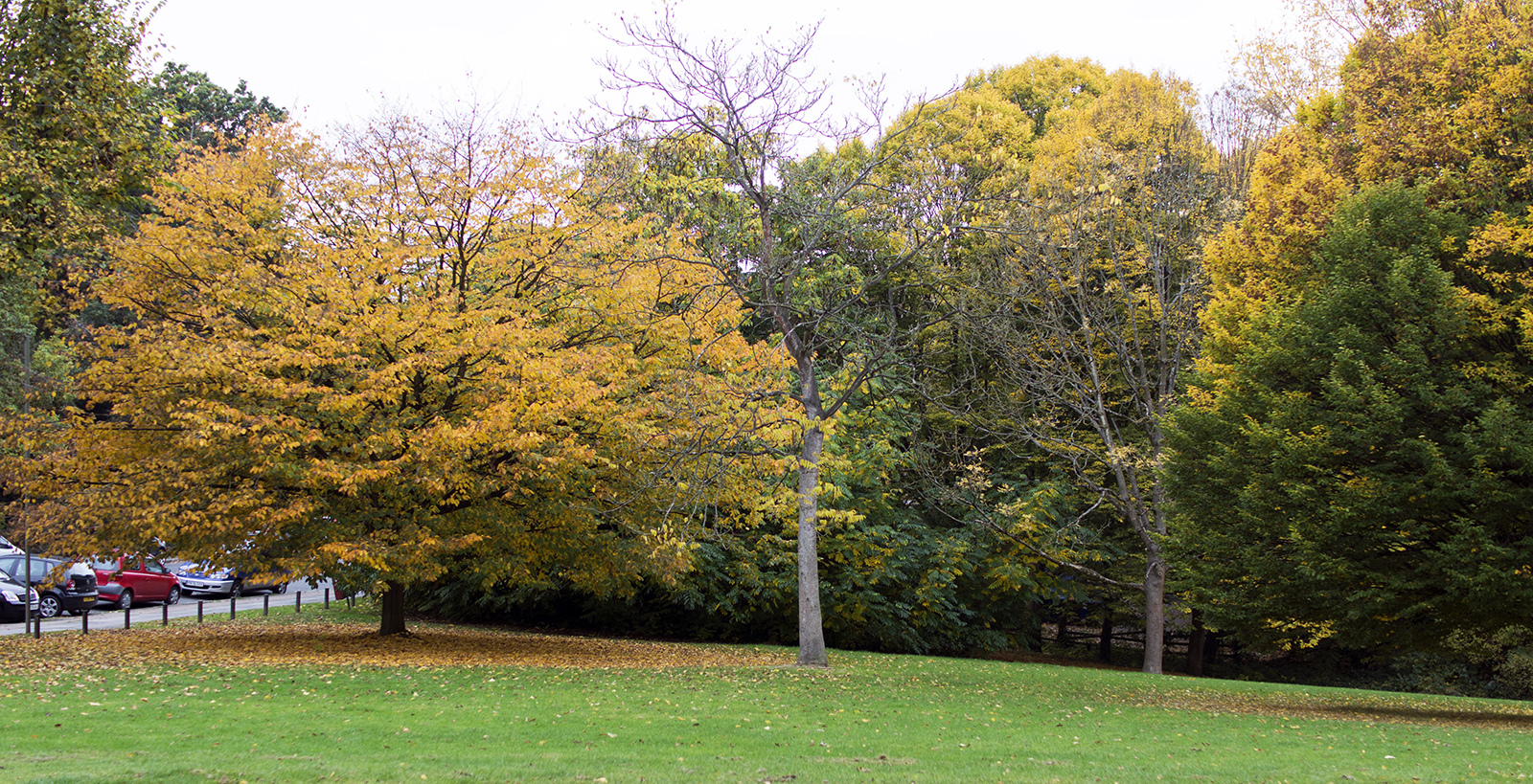 2016-10-29-Barnet_Dollis-Valley_Autumn_Landscape-Whetstone-Stray