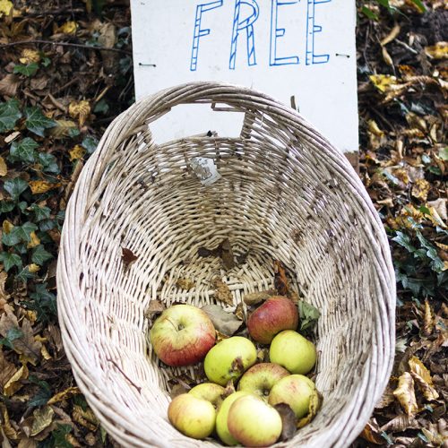 2016-10-29-Barnet_Hendon-Wood-Lane_Autumn_Flora-Apples-for-Sale