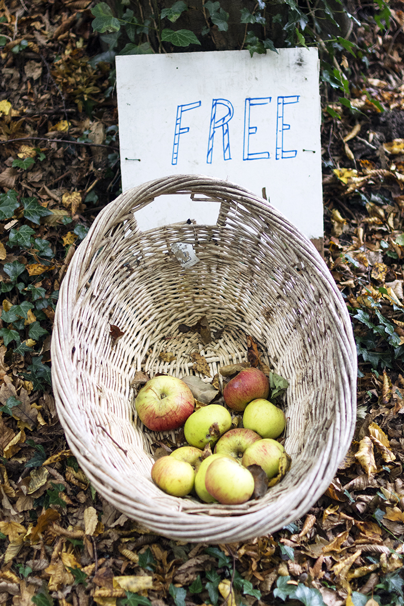 2016-10-29-Barnet_Hendon-Wood-Lane_Autumn_Flora-Apples-for-Sale