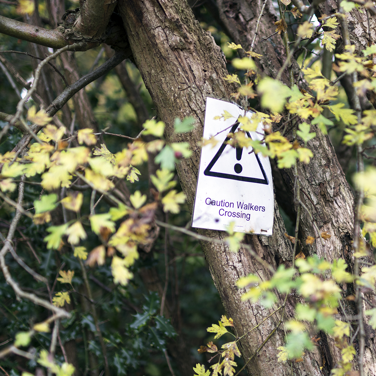 2016-10-29-Barnet_London-Loop_Autumn_Detail-Walkers-Crossing