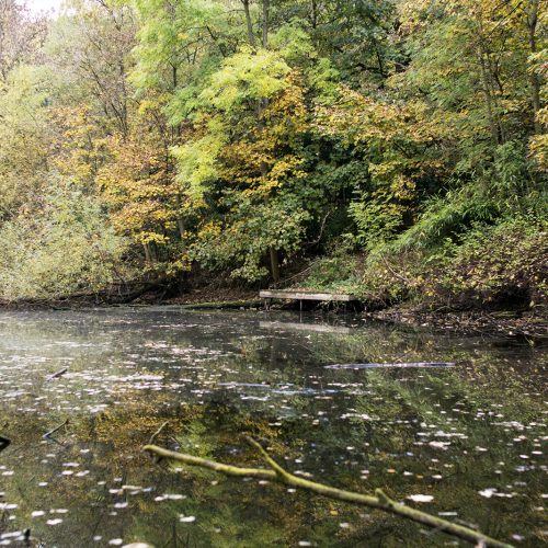 2016-10-29-Barnet_Moat-Mount-Nature-Reserve_Autumn_Landscape-Leg-of-Mutton-Pond