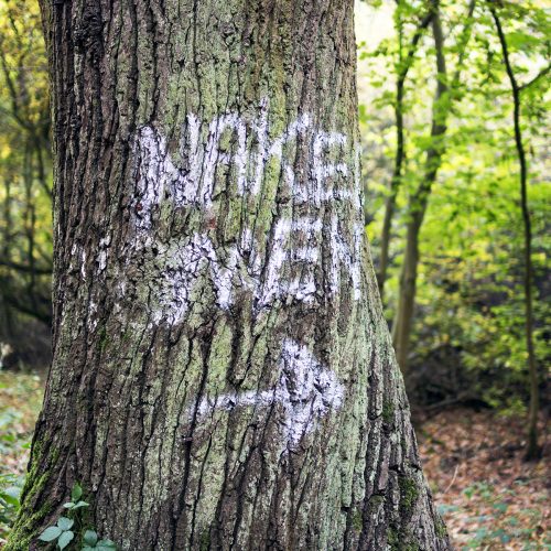 2016-10-29-Barnet_Scratchwood-Nature-Reserve_Autumn_Flora-Naked-Women
