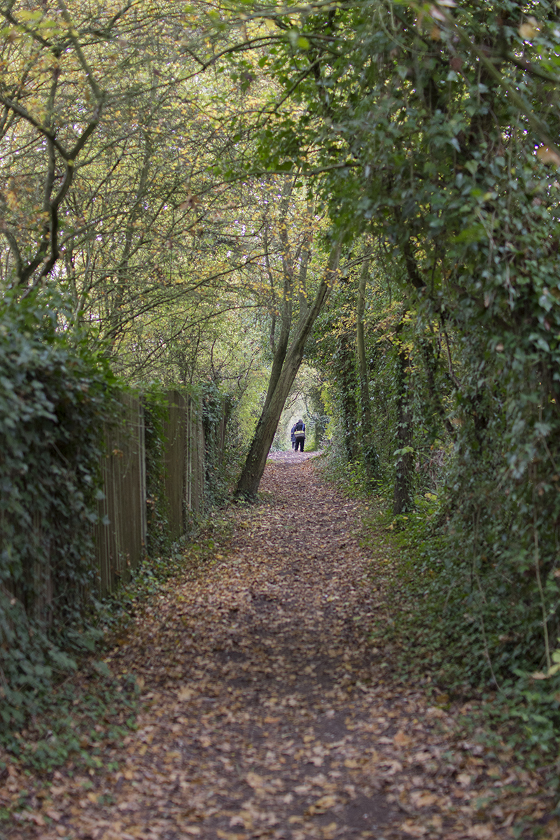 2016-10-29-Barnet_Scratchwood-Nature-Reserve_Autumn_Landscape-Path-leading-to-the-woods