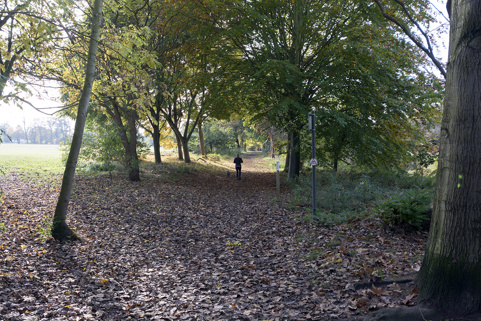 2016-10-29-Bexley_Foots-Cray-Meadows_Autumn_Landscape-Horse-ride-but-no-horses