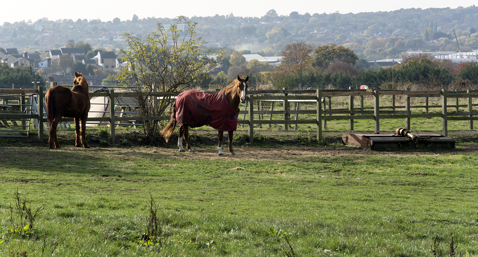 2016-11-03-Bexley_Autumn_Parsonage-Lane_Landscape