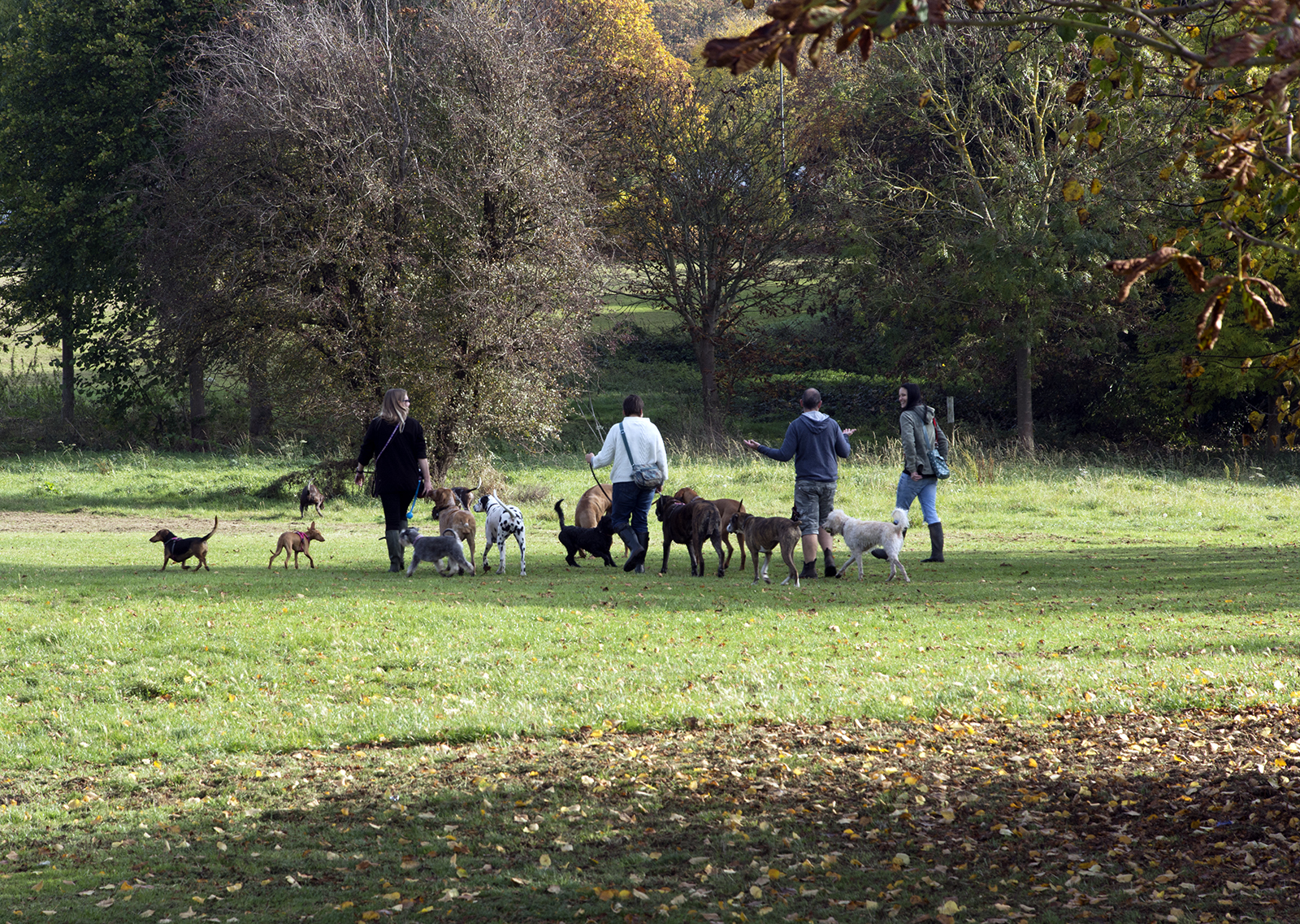 2016-11-03-Bexley_Foots-Cray-Meadow_Autumn_People-Dog-walkers